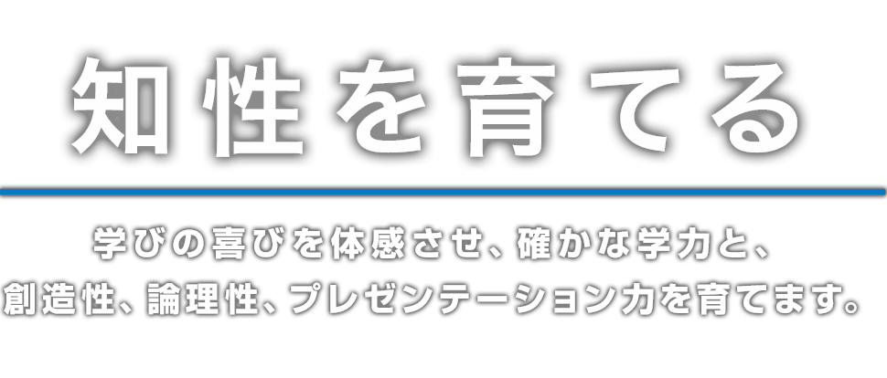 知性を育てる　学びの喜びを体感させ、確かな学力と、創造性、論理性、プレゼンテーション力を育てます。。