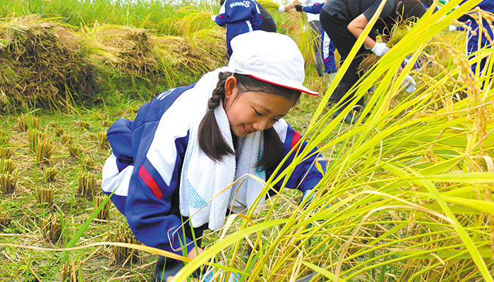 2年生 秋季校外学習 森林公園